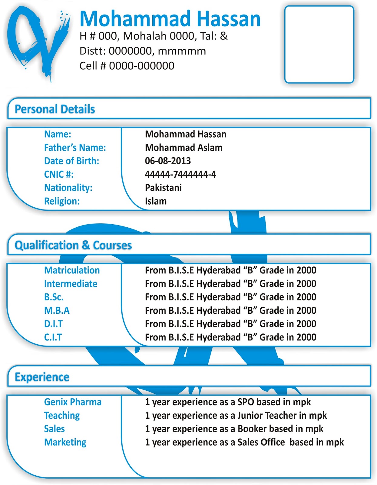 Pro e experience resume